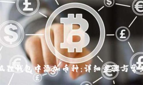 如何在小狐狸钱包中添加币种：详细步骤与常见问题解答